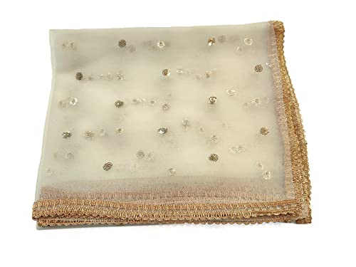 Studio Shringaar Women's Net Embroidered Full Size Dupatta (42" X 2.50 Meters) (White)